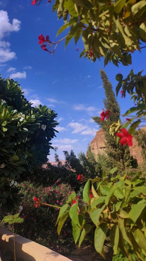 الجوهرة Diamond Plus Villa Al-ʿUla Esterno foto