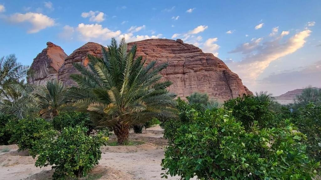 الجوهرة Diamond Plus Villa Al-ʿUla Esterno foto